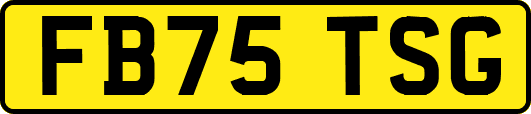 FB75TSG