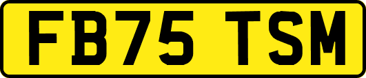 FB75TSM