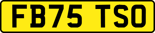 FB75TSO