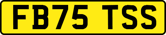 FB75TSS