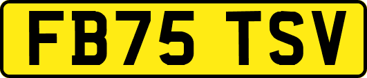 FB75TSV