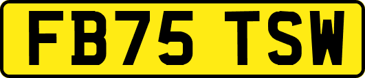 FB75TSW