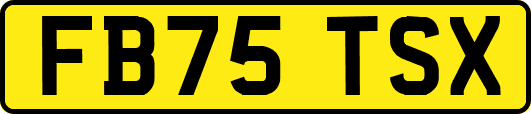 FB75TSX