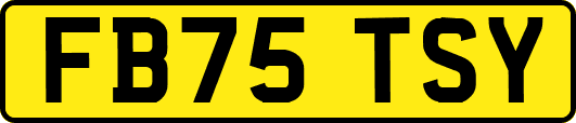 FB75TSY