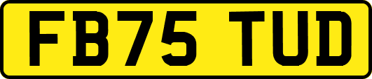 FB75TUD
