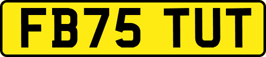 FB75TUT