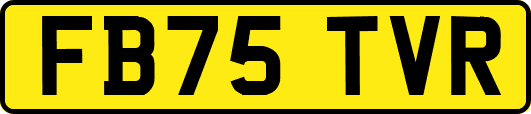 FB75TVR