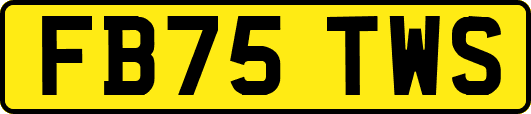 FB75TWS