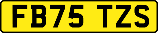 FB75TZS