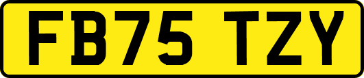 FB75TZY