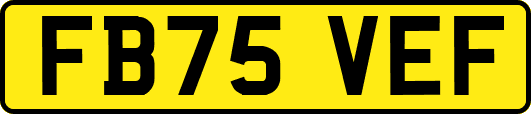 FB75VEF