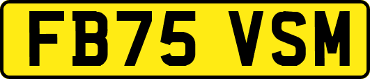 FB75VSM