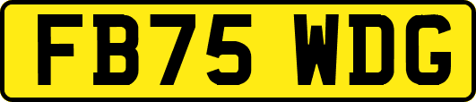 FB75WDG