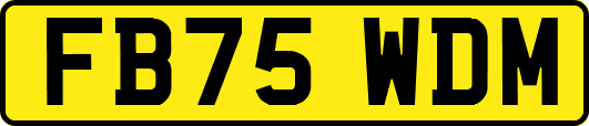 FB75WDM