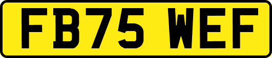 FB75WEF