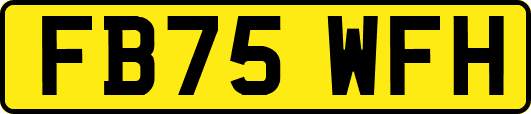 FB75WFH