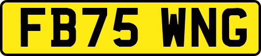 FB75WNG