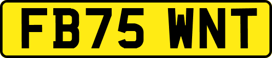 FB75WNT