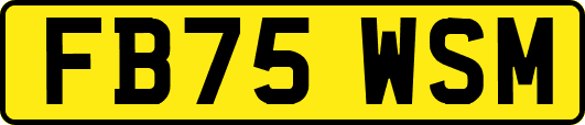 FB75WSM
