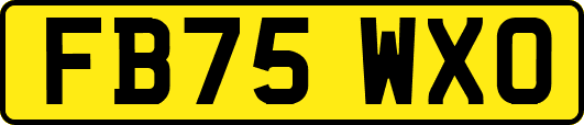 FB75WXO
