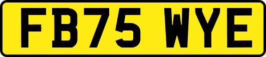 FB75WYE