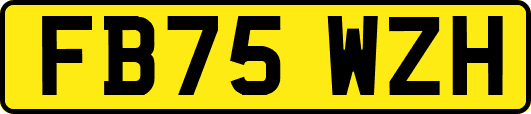 FB75WZH