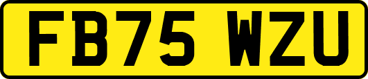 FB75WZU