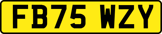 FB75WZY