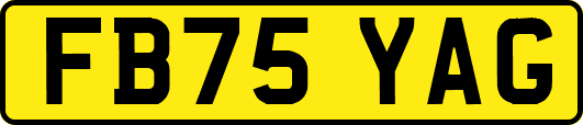 FB75YAG