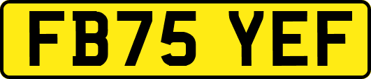 FB75YEF