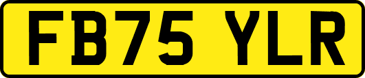 FB75YLR