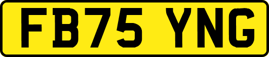 FB75YNG