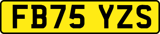 FB75YZS