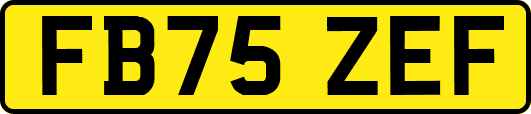 FB75ZEF
