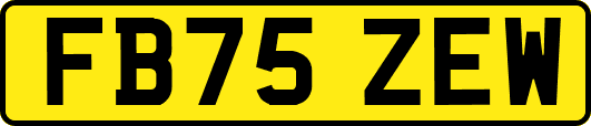 FB75ZEW