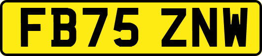 FB75ZNW