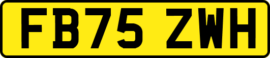FB75ZWH