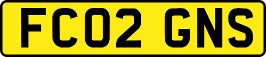 FC02GNS