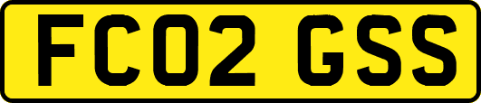 FC02GSS