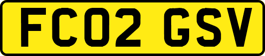 FC02GSV
