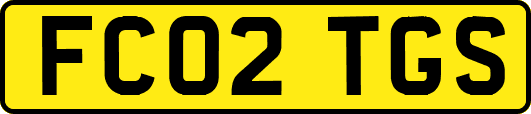 FC02TGS