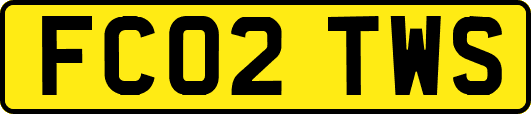 FC02TWS