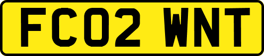FC02WNT
