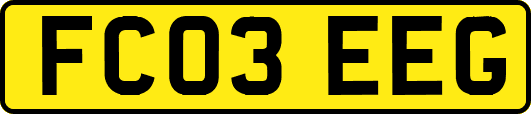 FC03EEG