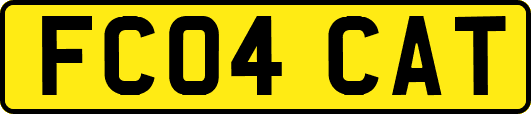 FC04CAT