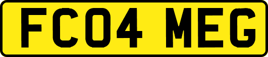 FC04MEG