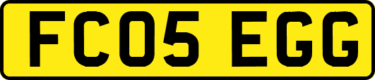 FC05EGG