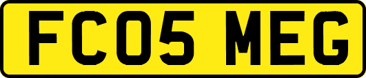 FC05MEG