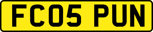 FC05PUN