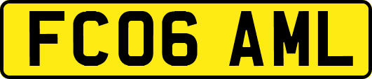 FC06AML